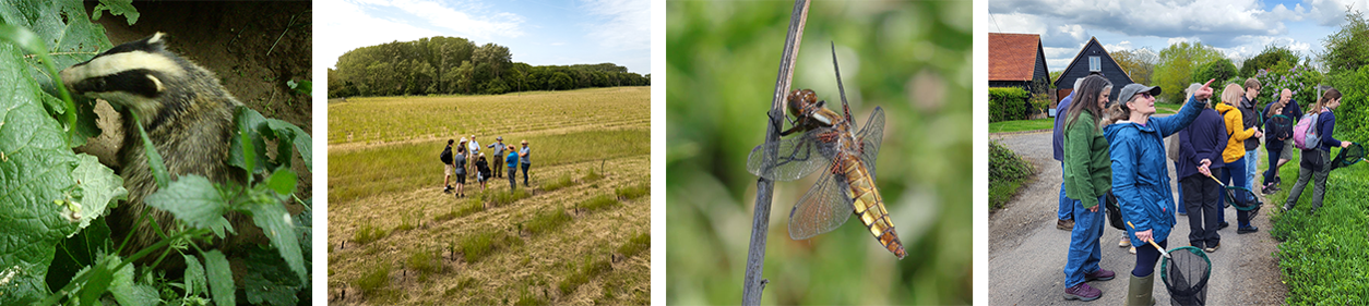 Species and communities at Wildfell habitat bank